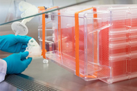 How To Take Your Process To A Closed System Corning - closed system