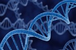 protein a purification with chromatographic clarification, DNA contamination