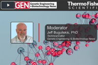 DoE Methodology For Downstream Purification Of pDNA Of IEX Resins