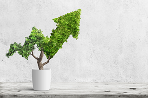 4 Ways To Increase Revenue With Installed Base Visibility Tree-growth-increase-iStock-924834270