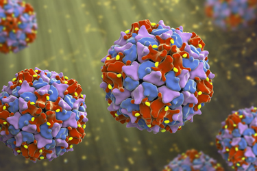 polio polio