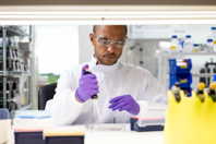 Custom Antibody Development And Characterization Services