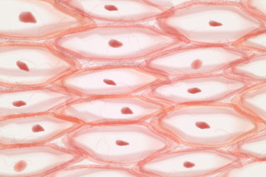 GettyImages-1904201548_skin GettyImages-1904201548_skin