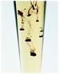 Paratherm SC® System-Cleaning Liquid Paratherm SC® System-Cleaning Liquid