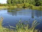 Stormwater Retention Stormwater Retention