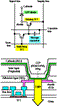 Ink jet printer produces full-color, video-rate OLED display Ink jet printer produces full-color, video-rate OLED display