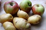GMO Apples And Potatoes Are OK With The FDA