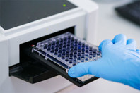 The Ultimate Guide To Microplate Reader Solutions GettyImages-915276808-microplate-reader-well-plate-cell-culture-gloves