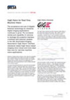 GigE Vision for Real-Time Machine Vision GigE4