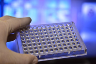 PCR Plate GettyImages-867159726