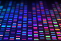 Streamlining And Enhancing Gene Therapy Production With Automation DNA Sequencing Data Processing Genetic Genomic Analysis GettyImages-1293619871