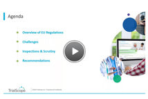 The Big Picture: Impact Of EU Disclosure On Small & Mid-Size Sponsors
