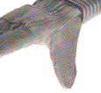 Performance Thumb Glove Performance Thumb Glove