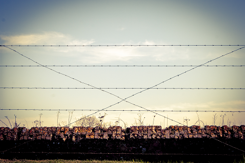 Trenches-iStock-485927113