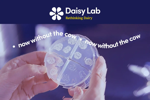 INFORS - Daisy Labs