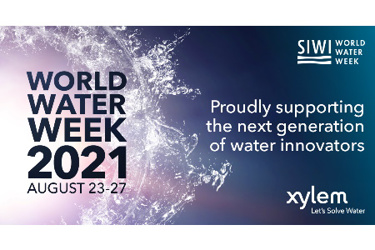 Xylem