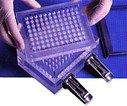 Minifold I Dot-Blot, Spot-Blot and Slot-Blot Systems Minifold I Dot-Blot, Spot-Blot and Slot-Blot Systems