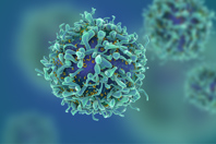 LNPs: Where Are Lipid Nanoparticles Used? T Cell GettyImages-538032878