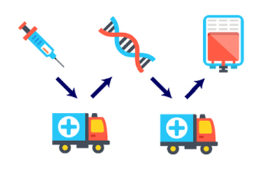CGT-Supply-Chain (002)