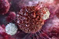 T cells, NK cells, macrophages-GettyImages-2196576063