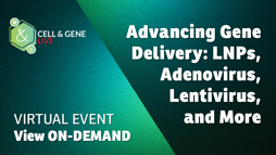 25_06_CGL_1280x720_Vid