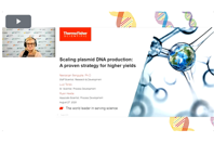 Thermo - plasmid DNA webinar