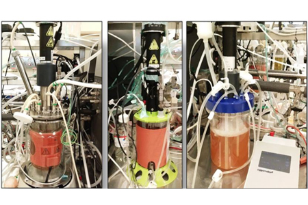 Comparison Of Disposables Versus Glass Bioreactors At The Bench Top Scale