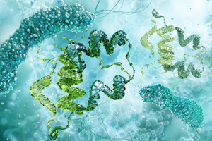 GettyImages-2189362114-recombinant-protein-structure