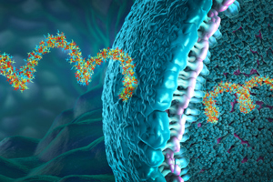 protein bio-synthesis, Ribonucleic acid strands-GettyImages-1393953279
