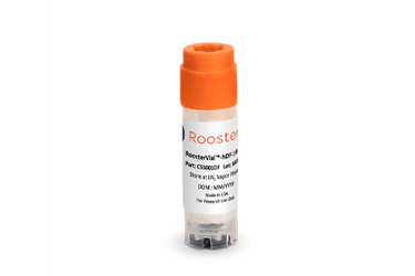 RoosterBio - HDF