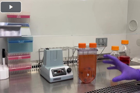 Media Exchange In The PBS Mini