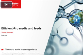 Efficient-Pro media Efficient-Pro media