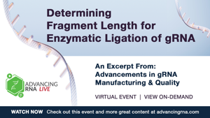 Determining Fragment Length for Enzymatic Ligation of gRNA