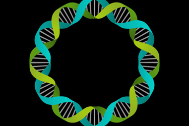DNA-GettyImages-497607062