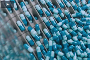 Bora Pharmaceuticals CDMO capabilities overview