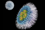 RNA, siRNA, mRNA, CRISPR-GettyImages-1409578455