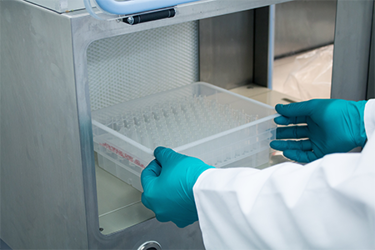 3p innovation - syringe filling