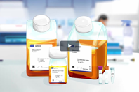 Thermo - cell line development kits