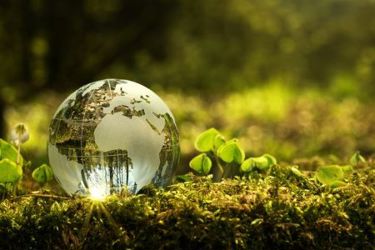 GettyImages-681108278-Environmental_Sustainability GettyImages-681108278-Environmental_Sustainability
