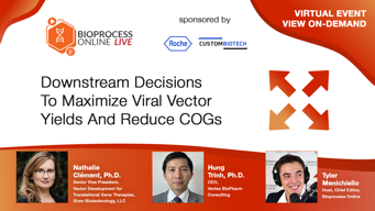 Downstream Decisions To Maximize Viral Vector Yields And Reduce COGs