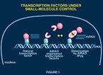 ARIAD Reports Long-term Production of EPO by its Regulated Gene Expression Technology ARIAD Reports Long-term Production of EPO by its Regulated Gene Expression Technology