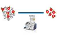 Thermo CGT - dynabeads