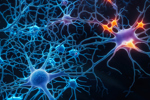 GettyImages-1623196376_Neurons