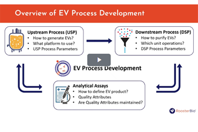 RoosterBio - Process Development