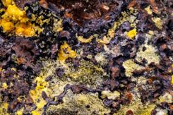 GettyImages-2178176312 uranium