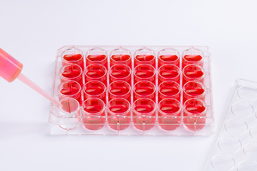 Dipeptides Used In Cell Culture Media Are Evolving To Match The Performance  Quality And Processing Needs Of Biopharma
