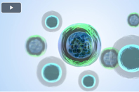 What Are HCPs And Why Do We Care