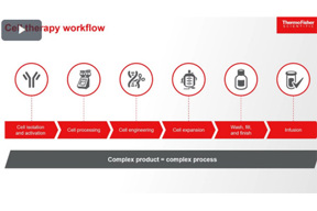 Cell therapy workflow Cell therapy workflow