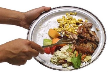 Create Less Food Waste With Software Toolkit