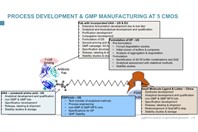 Two Cancer Therapies And Ten CDMOs